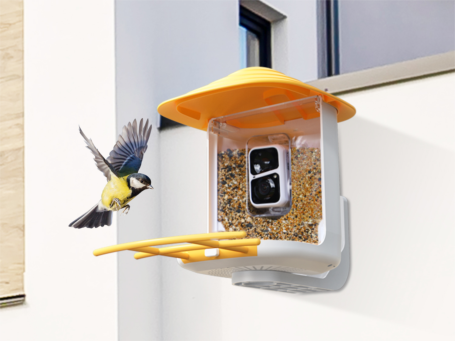 Elevating Birdwatching Experience with the Wuipet Smart Bird Feeder